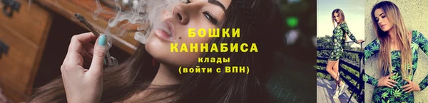 трава Дмитриев